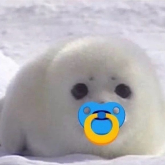 sealseal7